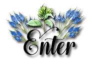 Enter 