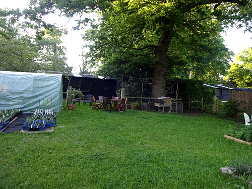 The Garden Progresses